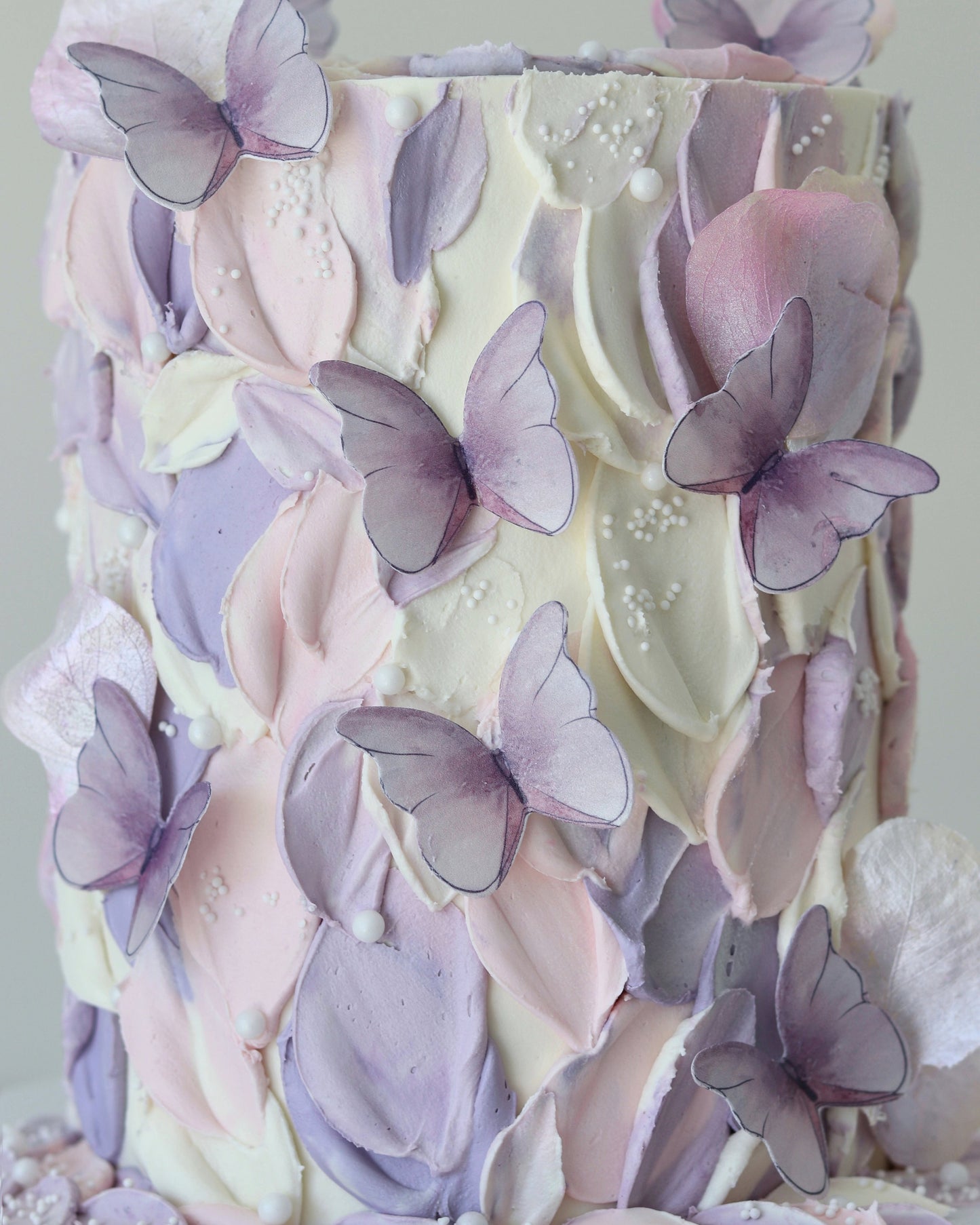 Butterfly (more colours) Bel Bear Bakes