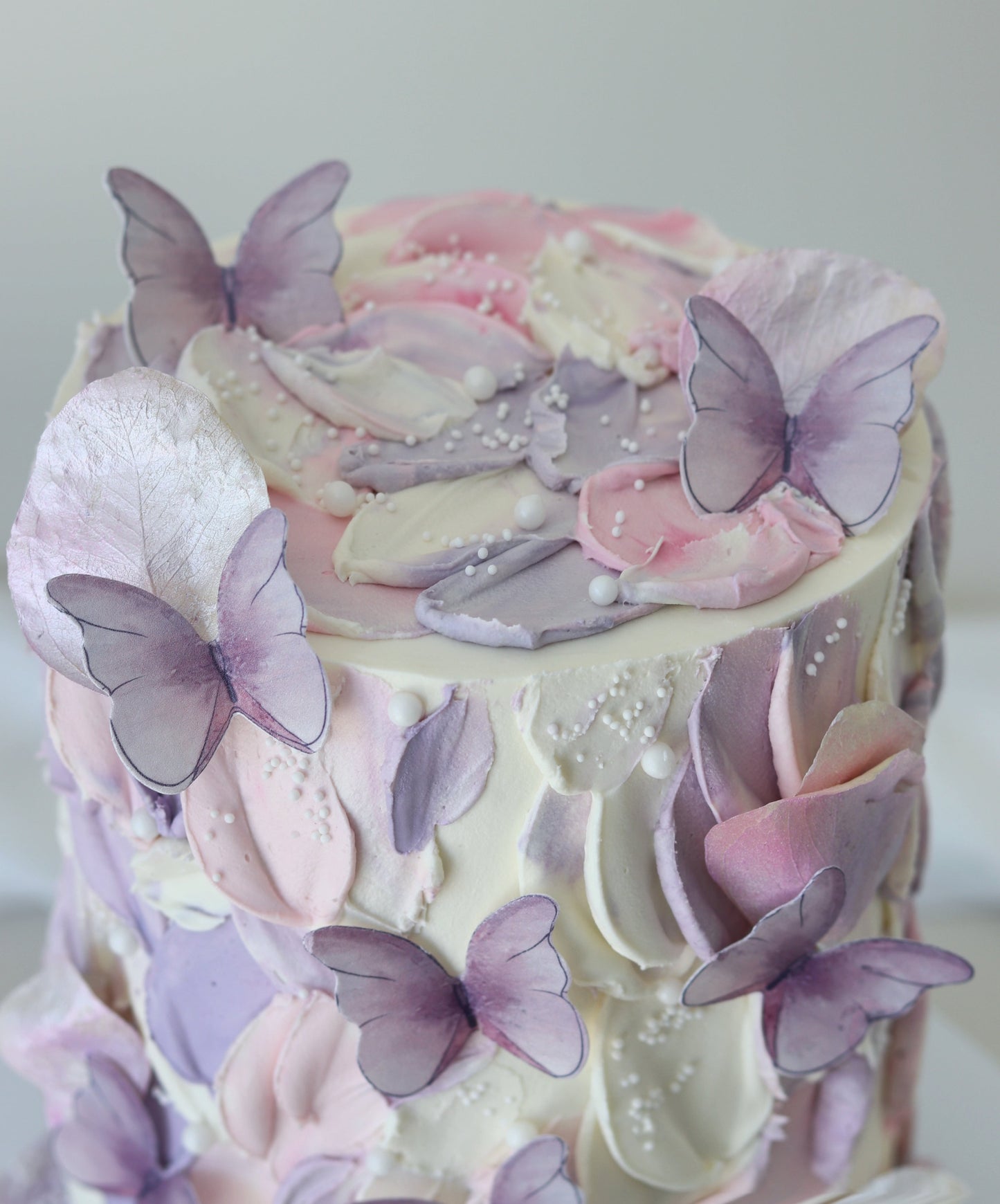 Butterfly (more colours) Bel Bear Bakes