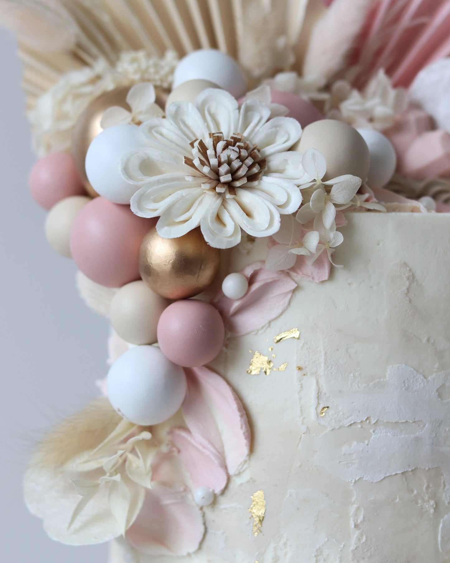 Blushy Bel Bear Bakes