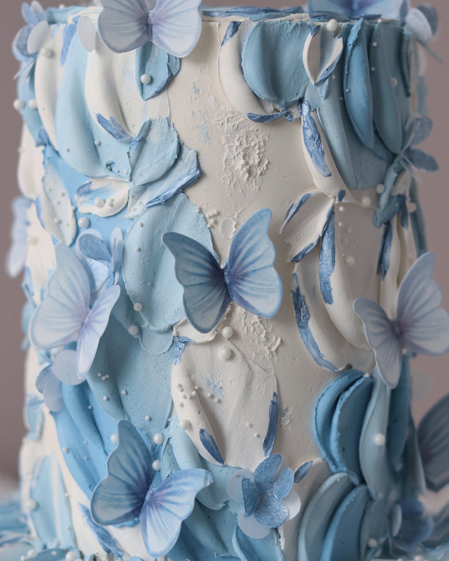 Butterfly (more colours) Bel Bear Bakes