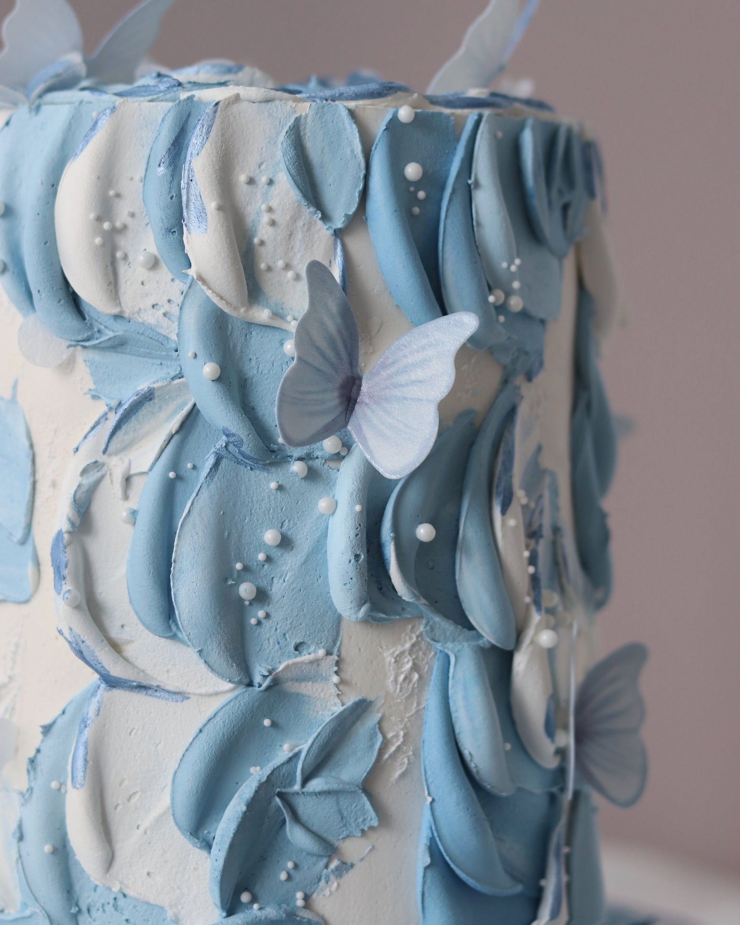 Butterfly (more colours) Bel Bear Bakes