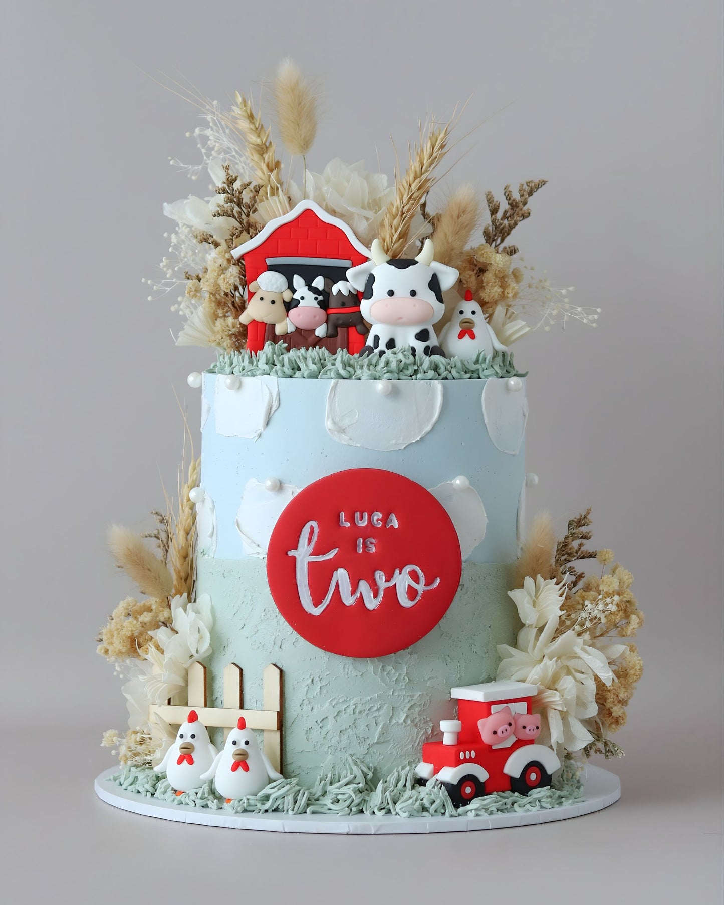 Cartoon Farmyard Themed Cake - Bel Bear Bakes