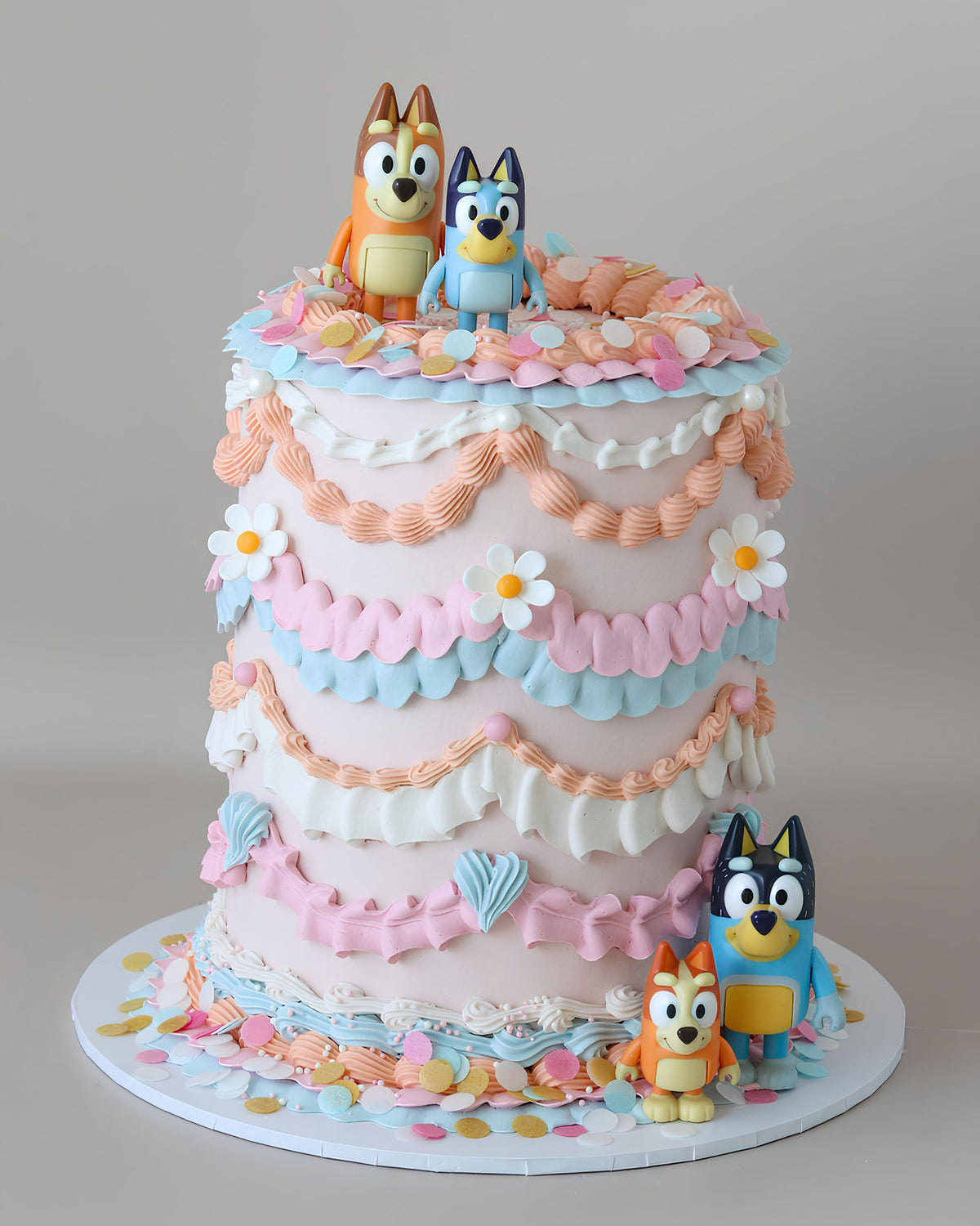 Bluey Party