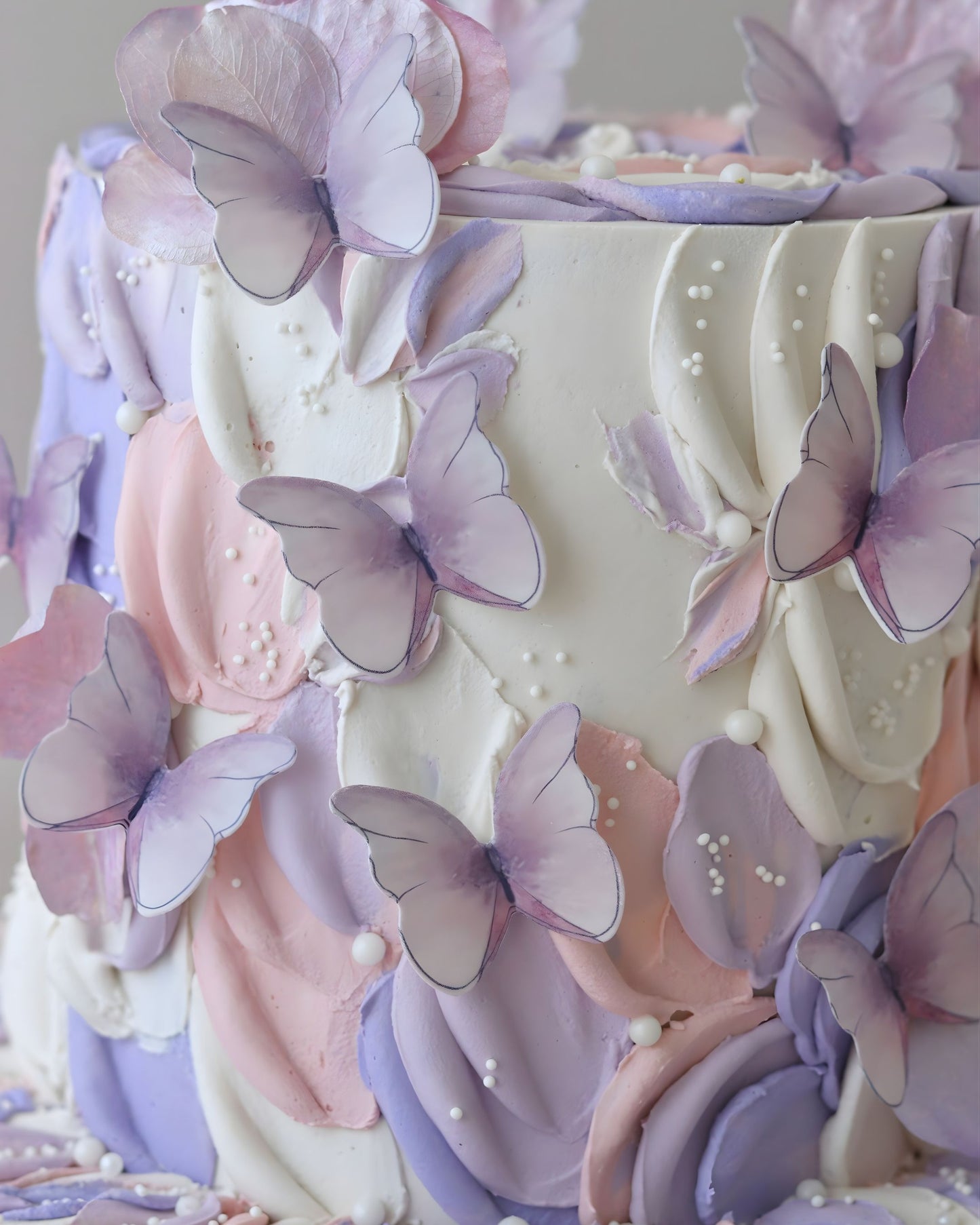 Butterfly (more colours)