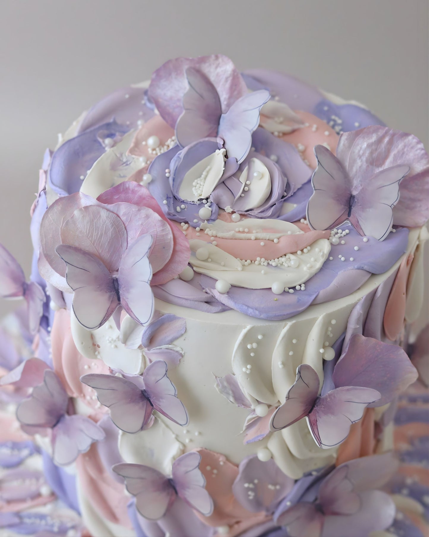 Butterfly (more colours)